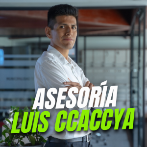 Asesoría Personalizada - Luis Ccaccya (60 min)